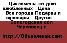 Цикламены ко дню влюбленных › Цена ­ 180 - Все города Подарки и сувениры » Другое   . Вологодская обл.,Череповец г.